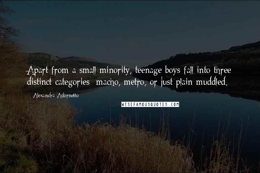 Alexandra Adornetto Quotes: Apart from a small minority, teenage boys fall into three distinct categories: macho, metro, or just plain muddled.