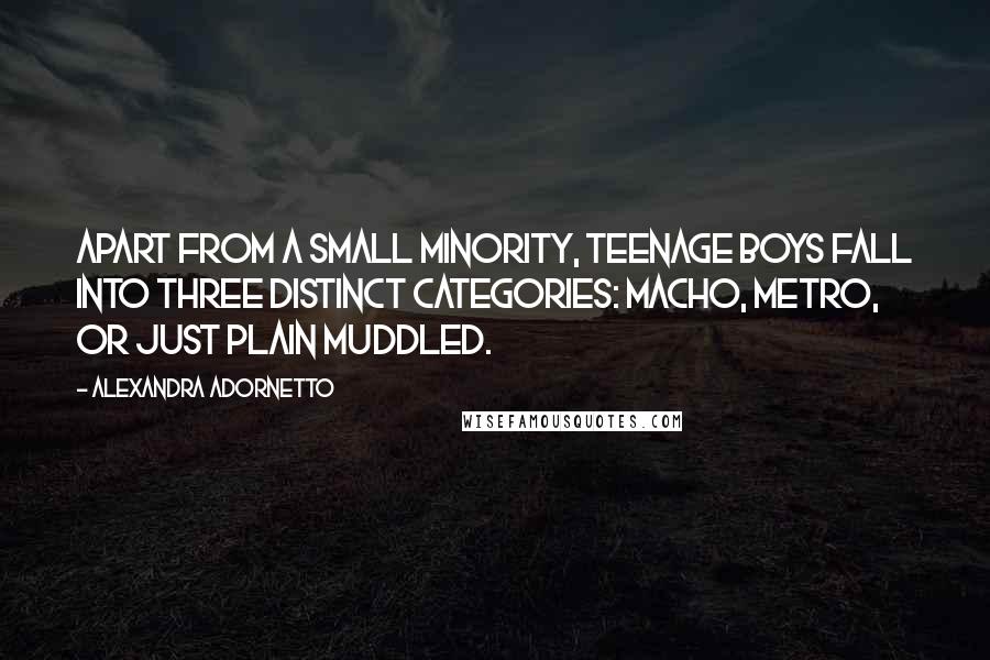 Alexandra Adornetto Quotes: Apart from a small minority, teenage boys fall into three distinct categories: macho, metro, or just plain muddled.
