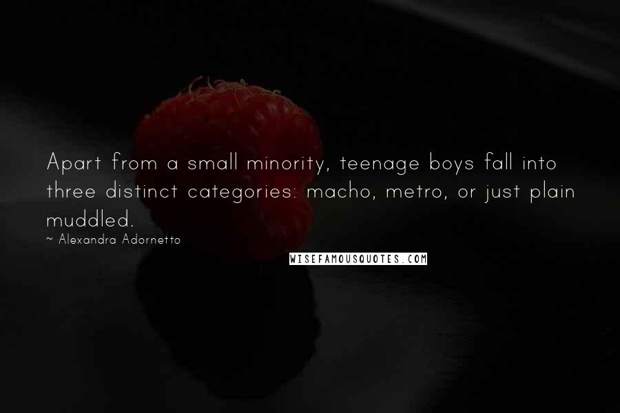 Alexandra Adornetto Quotes: Apart from a small minority, teenage boys fall into three distinct categories: macho, metro, or just plain muddled.