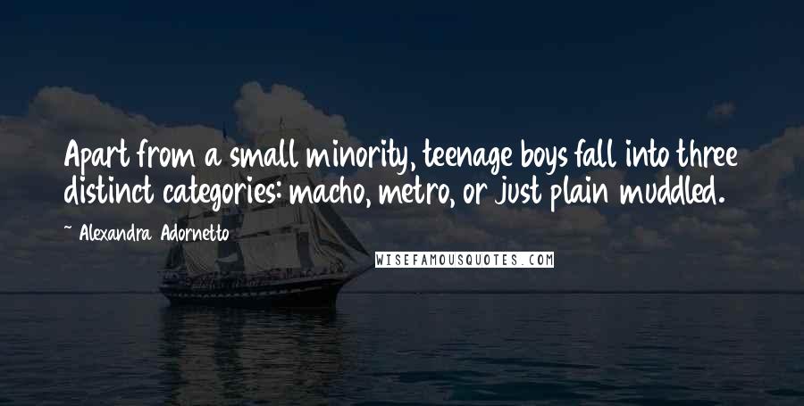 Alexandra Adornetto Quotes: Apart from a small minority, teenage boys fall into three distinct categories: macho, metro, or just plain muddled.