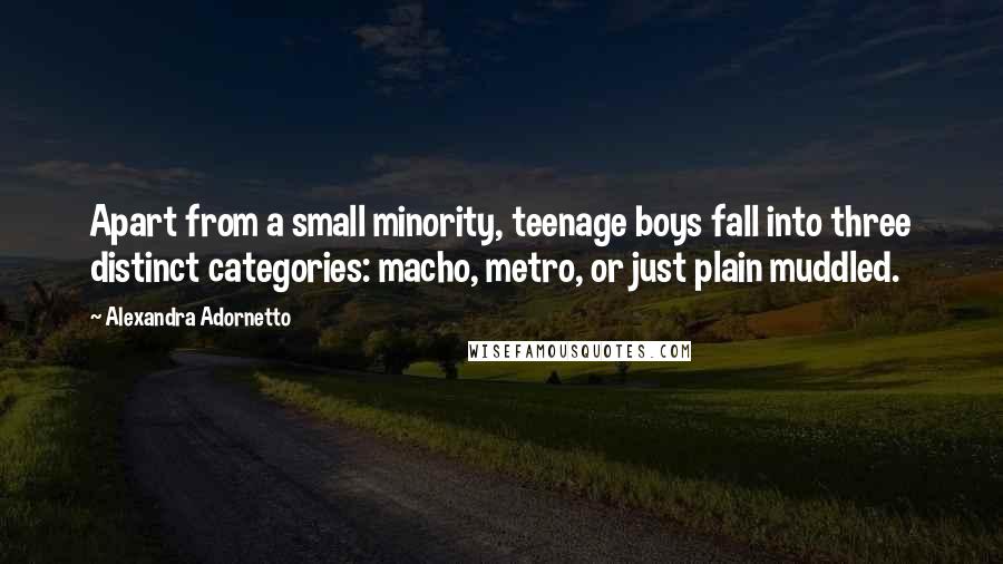 Alexandra Adornetto Quotes: Apart from a small minority, teenage boys fall into three distinct categories: macho, metro, or just plain muddled.