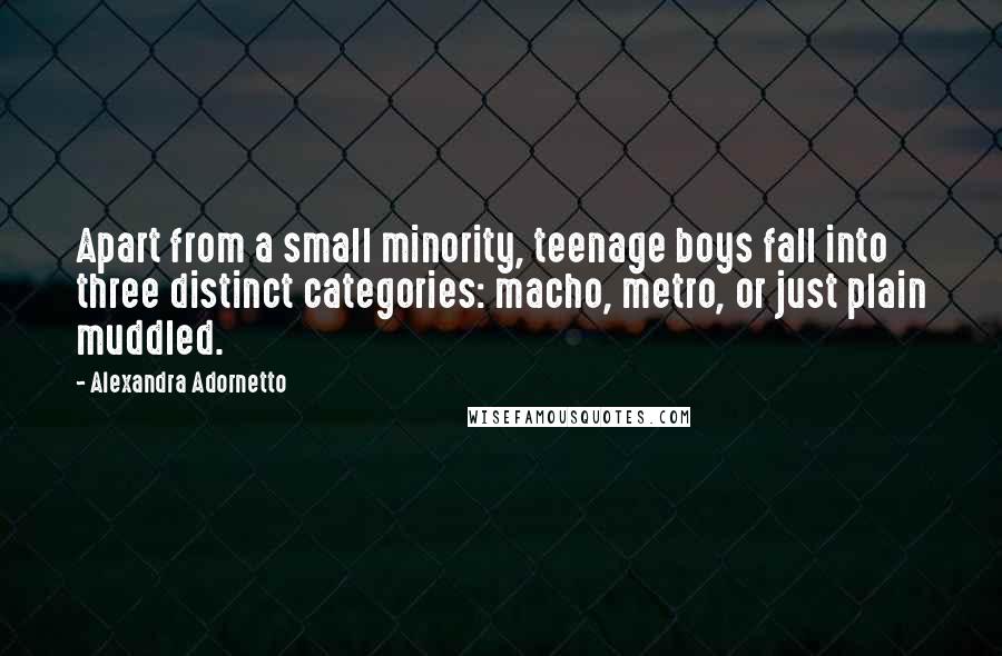Alexandra Adornetto Quotes: Apart from a small minority, teenage boys fall into three distinct categories: macho, metro, or just plain muddled.