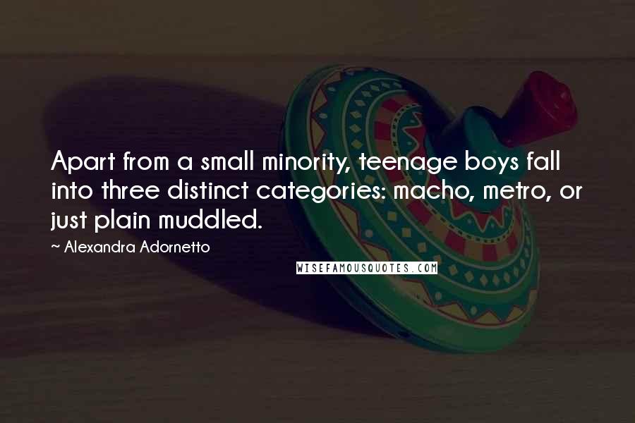 Alexandra Adornetto Quotes: Apart from a small minority, teenage boys fall into three distinct categories: macho, metro, or just plain muddled.