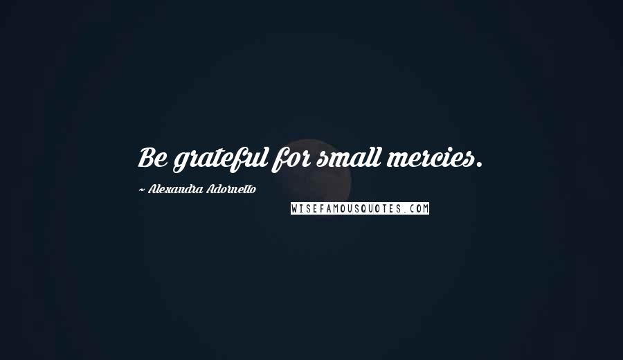 Alexandra Adornetto Quotes: Be grateful for small mercies.