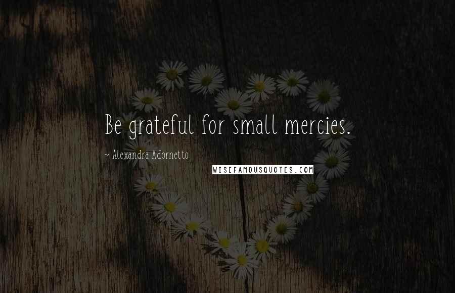 Alexandra Adornetto Quotes: Be grateful for small mercies.