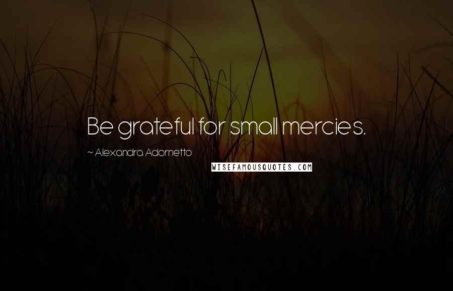 Alexandra Adornetto Quotes: Be grateful for small mercies.