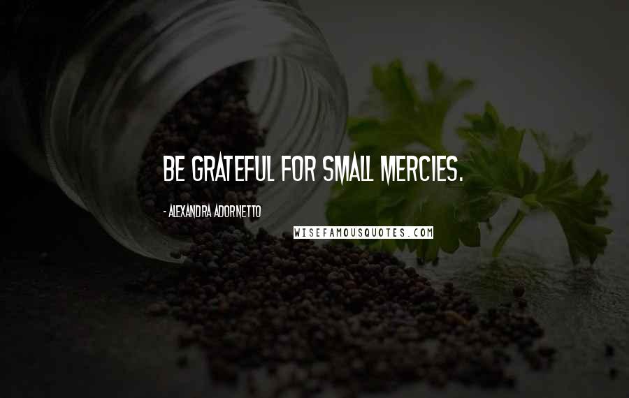 Alexandra Adornetto Quotes: Be grateful for small mercies.