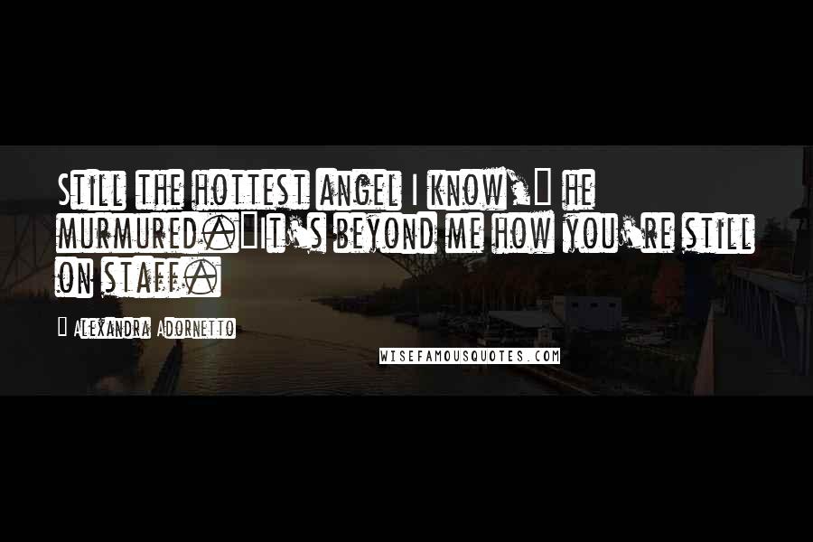 Alexandra Adornetto Quotes: Still the hottest angel I know," he murmured."It's beyond me how you're still on staff.