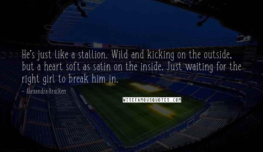 Alexandra Bracken Quotes: He's just like a stallion. Wild and kicking on the outside, but a heart soft as satin on the inside. Just waiting for the right girl to break him in.