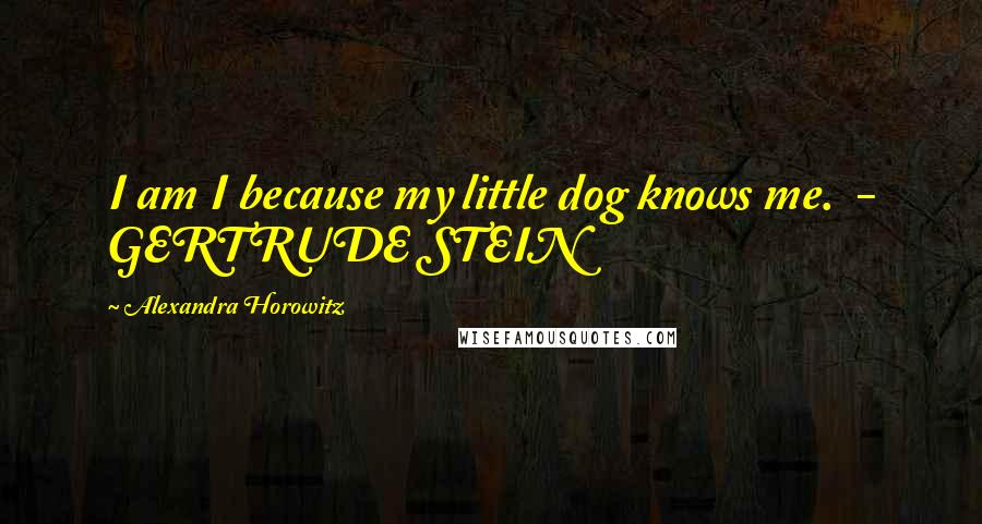 Alexandra Horowitz Quotes: I am I because my little dog knows me.  - GERTRUDE STEIN