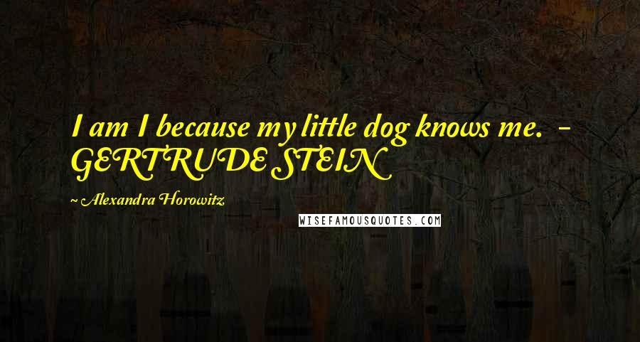 Alexandra Horowitz Quotes: I am I because my little dog knows me. - GERTRUDE STEIN
