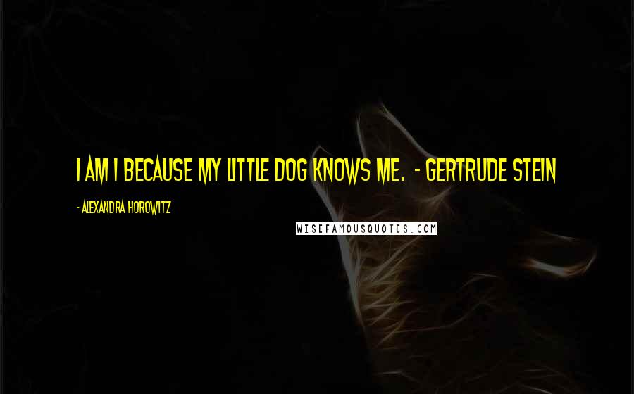 Alexandra Horowitz Quotes: I am I because my little dog knows me.  - GERTRUDE STEIN