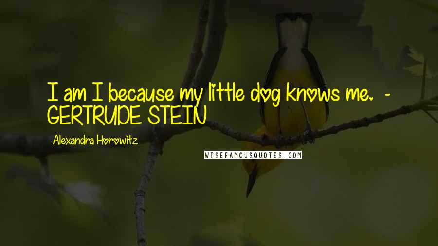 Alexandra Horowitz Quotes: I am I because my little dog knows me. - GERTRUDE STEIN