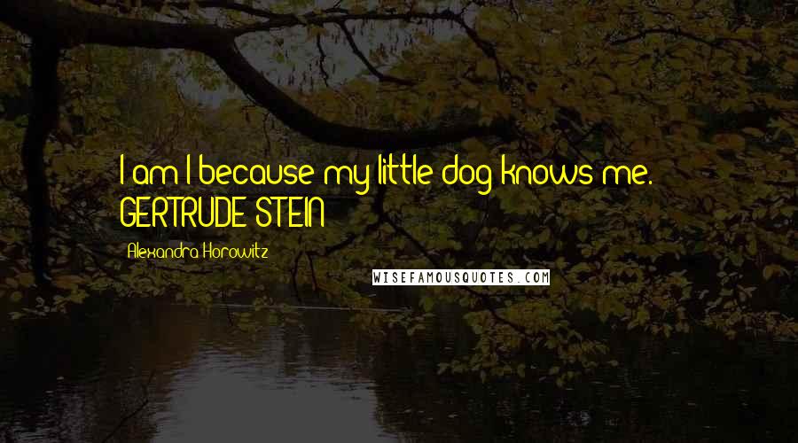 Alexandra Horowitz Quotes: I am I because my little dog knows me.  - GERTRUDE STEIN