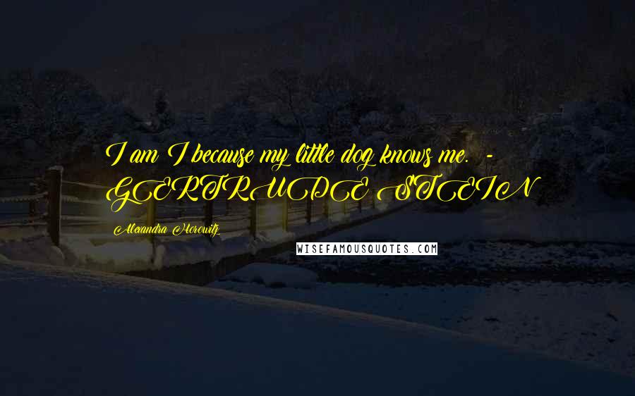 Alexandra Horowitz Quotes: I am I because my little dog knows me. - GERTRUDE STEIN