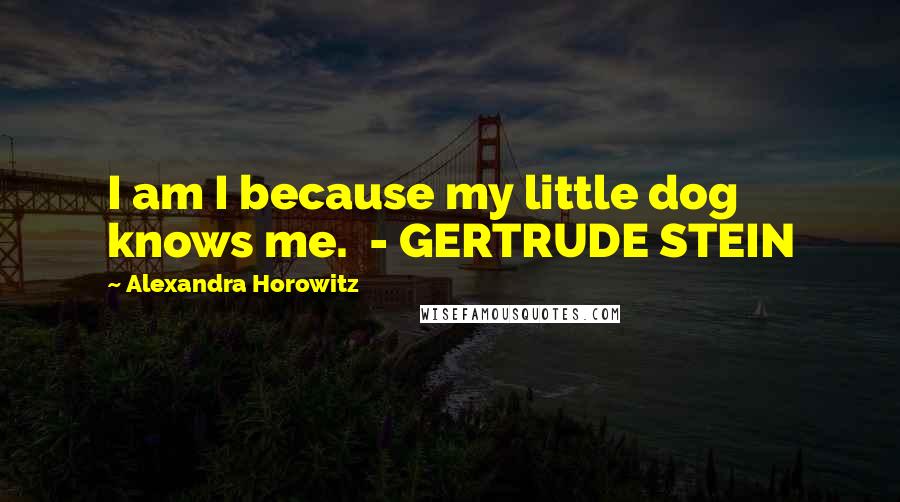 Alexandra Horowitz Quotes: I am I because my little dog knows me.  - GERTRUDE STEIN