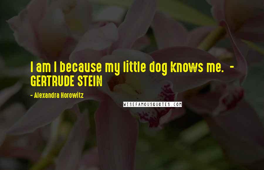 Alexandra Horowitz Quotes: I am I because my little dog knows me. - GERTRUDE STEIN