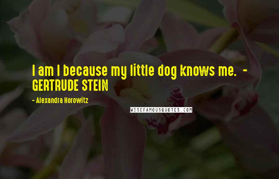 Alexandra Horowitz Quotes: I am I because my little dog knows me.  - GERTRUDE STEIN