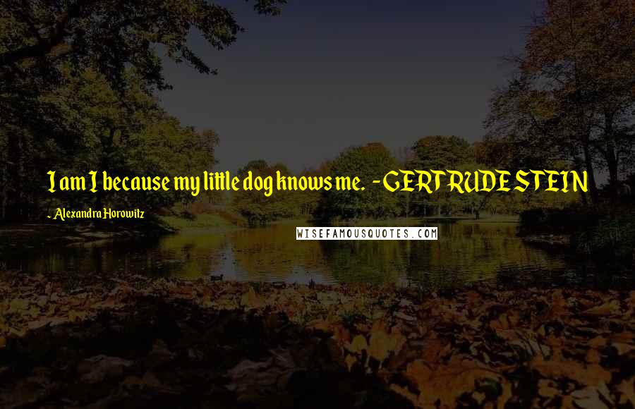 Alexandra Horowitz Quotes: I am I because my little dog knows me. - GERTRUDE STEIN