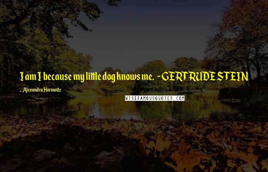 Alexandra Horowitz Quotes: I am I because my little dog knows me.  - GERTRUDE STEIN