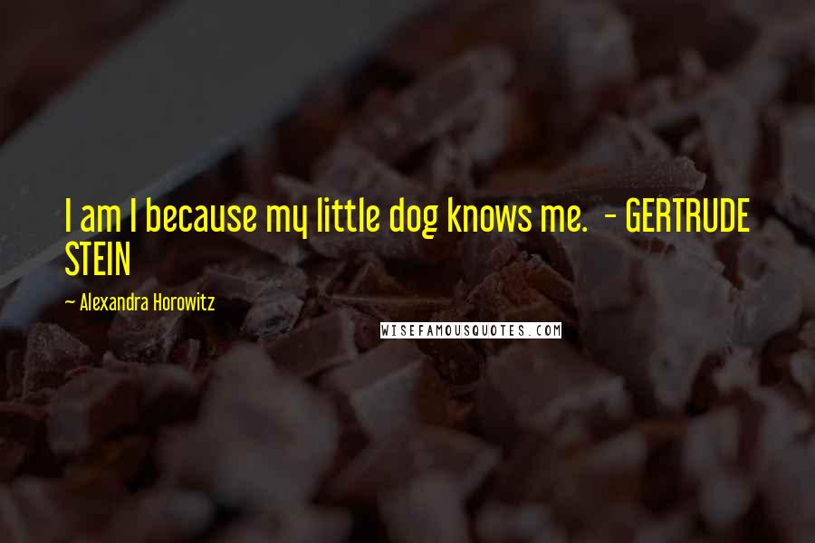 Alexandra Horowitz Quotes: I am I because my little dog knows me. - GERTRUDE STEIN