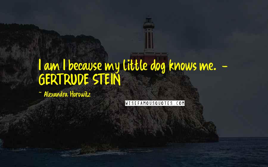 Alexandra Horowitz Quotes: I am I because my little dog knows me. - GERTRUDE STEIN