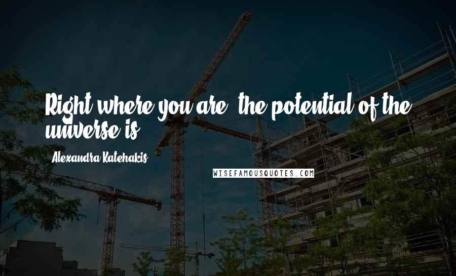 Alexandra Katehakis Quotes: Right where you are, the potential of the universe is.