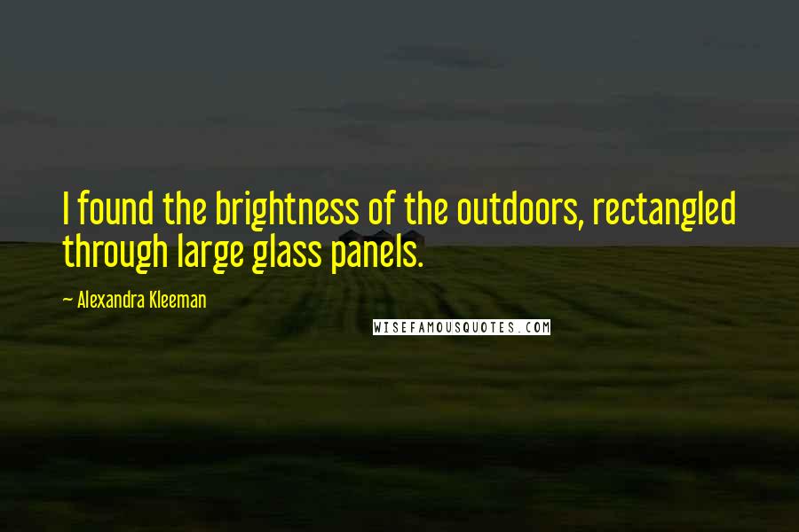 Alexandra Kleeman Quotes: I found the brightness of the outdoors, rectangled through large glass panels.