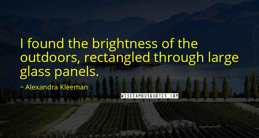 Alexandra Kleeman Quotes: I found the brightness of the outdoors, rectangled through large glass panels.