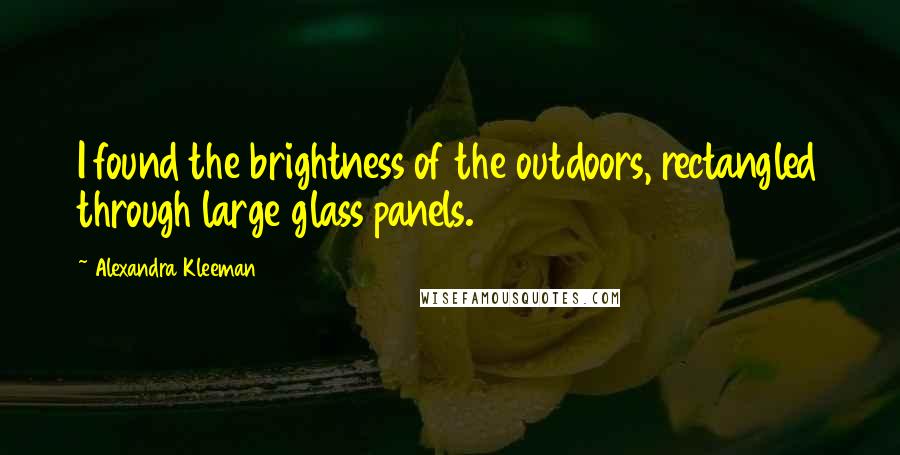 Alexandra Kleeman Quotes: I found the brightness of the outdoors, rectangled through large glass panels.