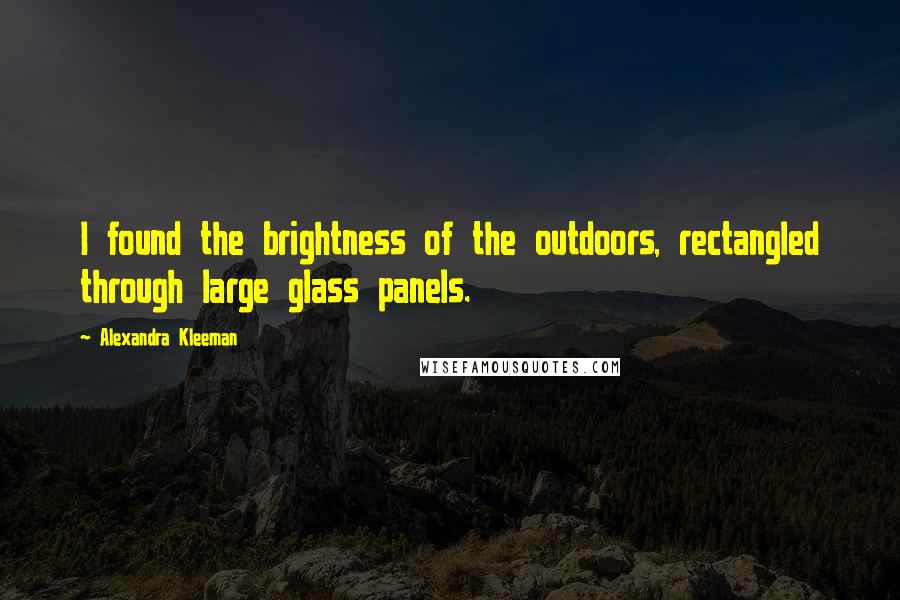 Alexandra Kleeman Quotes: I found the brightness of the outdoors, rectangled through large glass panels.