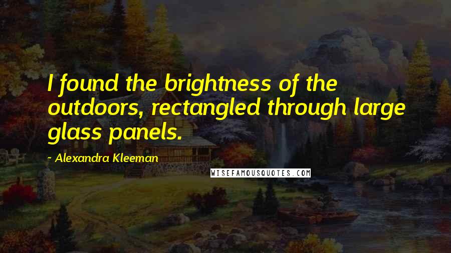 Alexandra Kleeman Quotes: I found the brightness of the outdoors, rectangled through large glass panels.