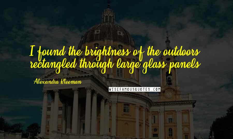 Alexandra Kleeman Quotes: I found the brightness of the outdoors, rectangled through large glass panels.