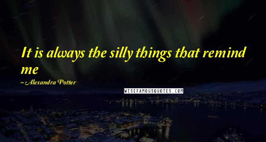 Alexandra Potter Quotes: It is always the silly things that remind me