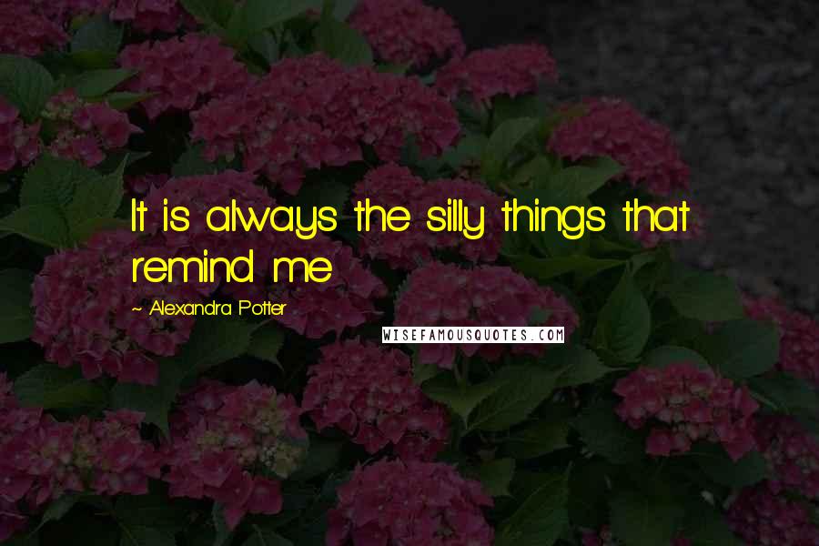 Alexandra Potter Quotes: It is always the silly things that remind me