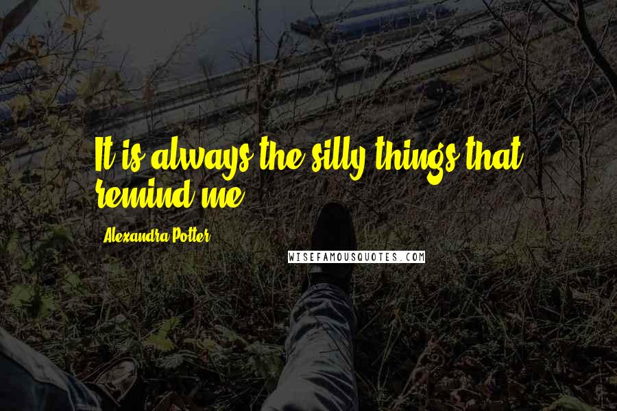 Alexandra Potter Quotes: It is always the silly things that remind me