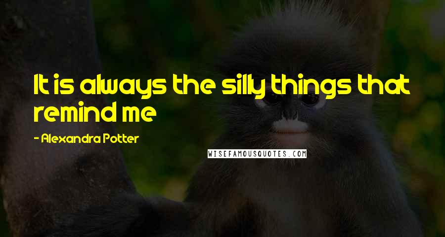 Alexandra Potter Quotes: It is always the silly things that remind me