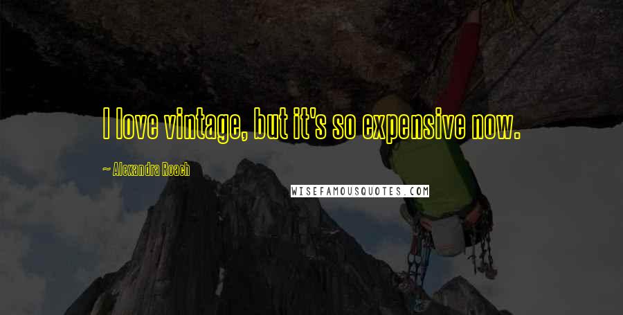 Alexandra Roach Quotes: I love vintage, but it's so expensive now.