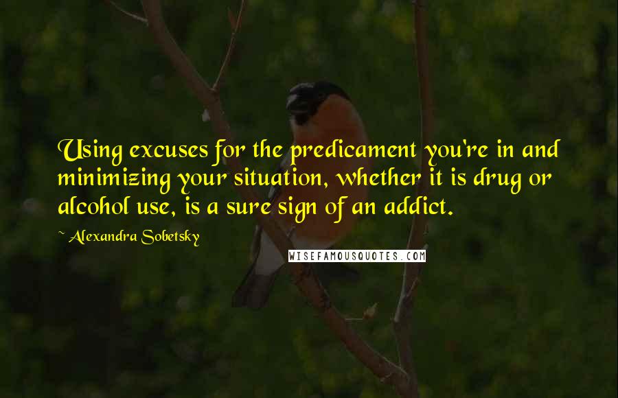 Alexandra Sobetsky Quotes: Using excuses for the predicament you're in and minimizing your situation, whether it is drug or alcohol use, is a sure sign of an addict.