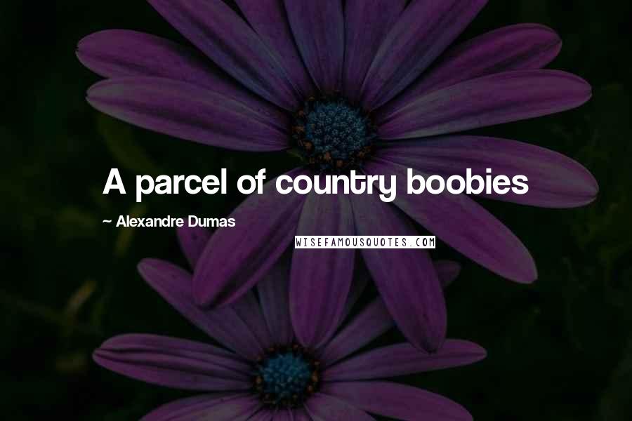 Alexandre Dumas Quotes: A parcel of country boobies