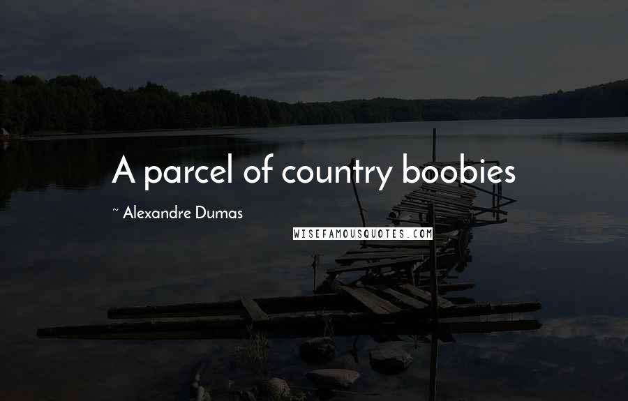 Alexandre Dumas Quotes: A parcel of country boobies