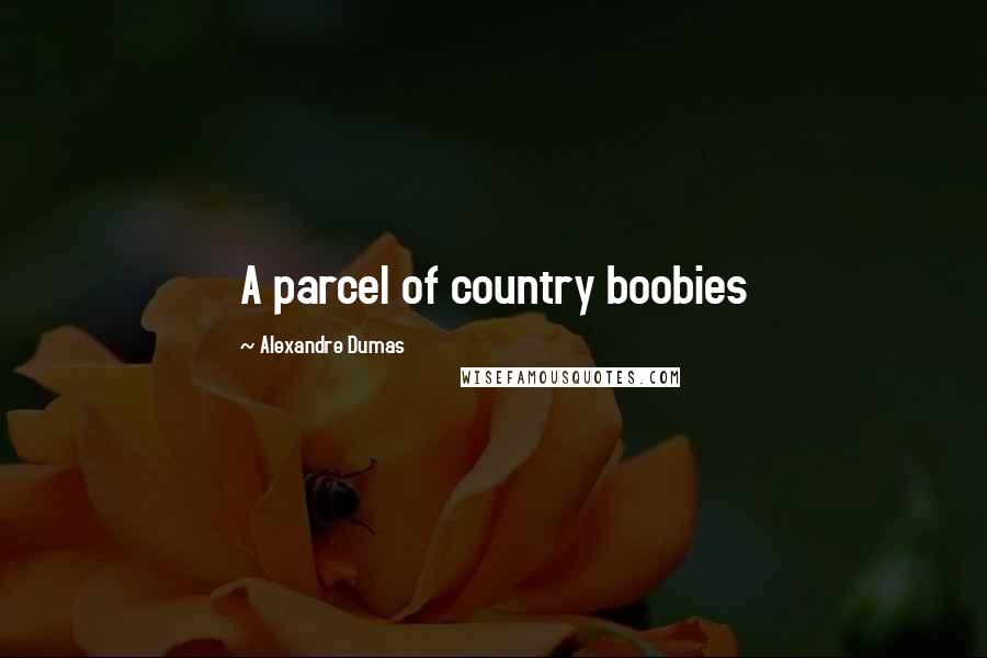 Alexandre Dumas Quotes: A parcel of country boobies