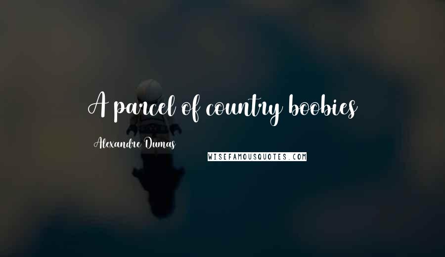 Alexandre Dumas Quotes: A parcel of country boobies