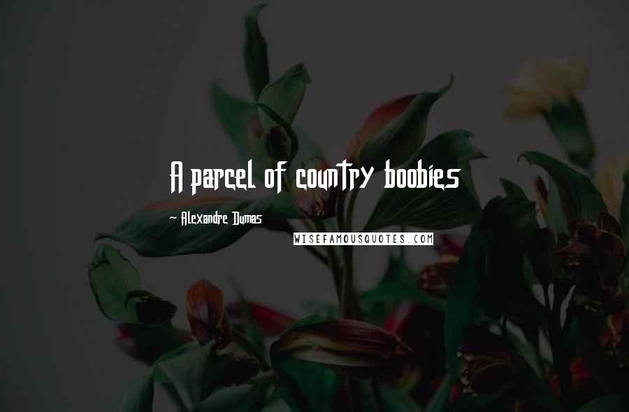 Alexandre Dumas Quotes: A parcel of country boobies