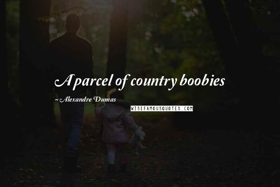 Alexandre Dumas Quotes: A parcel of country boobies