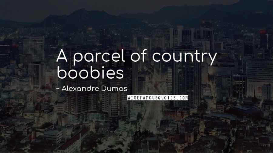 Alexandre Dumas Quotes: A parcel of country boobies