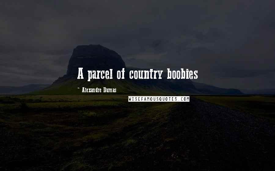 Alexandre Dumas Quotes: A parcel of country boobies