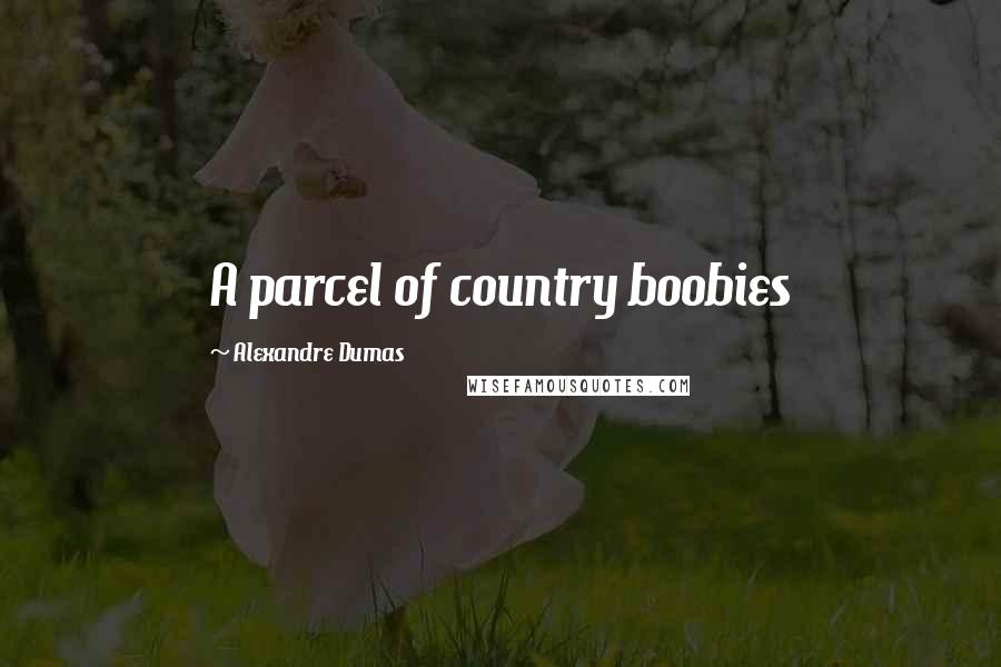 Alexandre Dumas Quotes: A parcel of country boobies