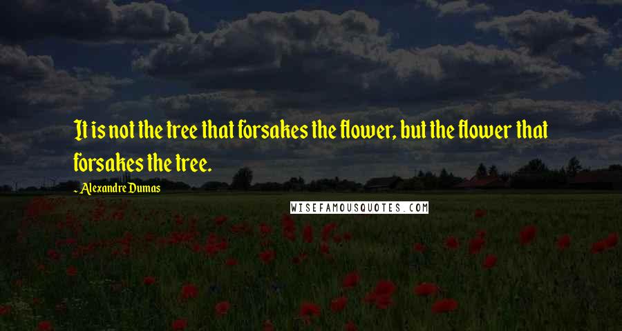 Alexandre Dumas Quotes: It is not the tree that forsakes the flower, but the flower that forsakes the tree.