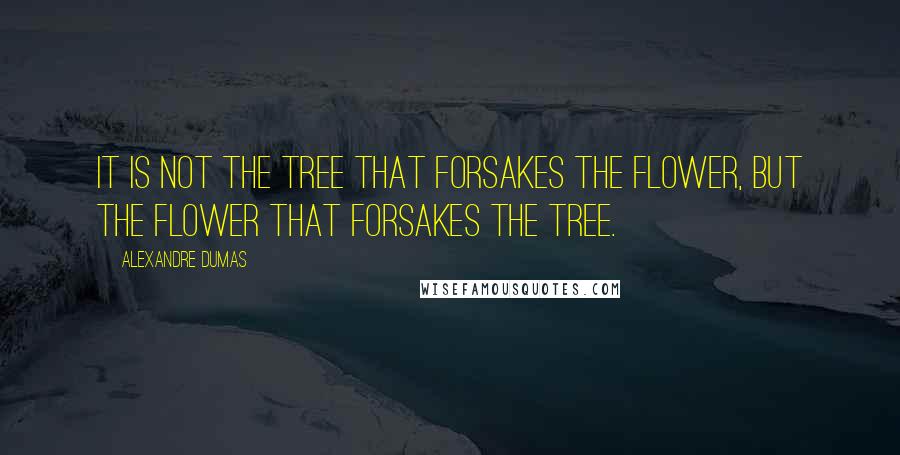 Alexandre Dumas Quotes: It is not the tree that forsakes the flower, but the flower that forsakes the tree.